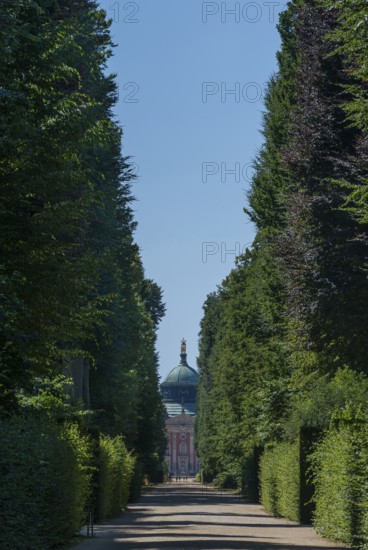Avenue in Sanssouci Palace Park, Potsdam