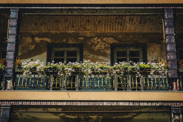 Façade with balcony and flower boxes, Lost Place, Heilstätten Beelitz, Brandenburg