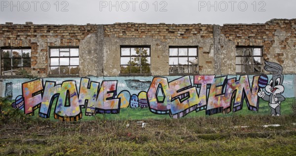 Dilapidated hall with gravity of the dilapidated plant of a former agricultural production cooperative of the former GDR, LPG, Lost Place, Müggenburg, Fischland-Darß-Zingst, Western Pomerania National Park, Mecklenburg-Western Pomerania, Germany