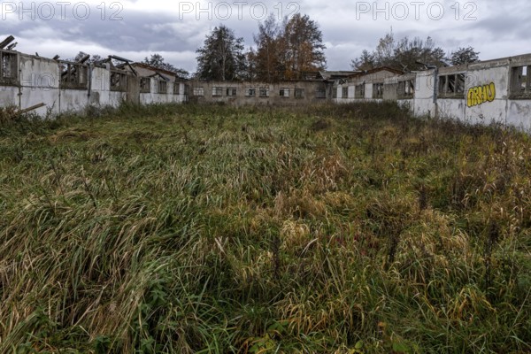 Dilapidated halls of the dilapidated plant of a former agricultural production cooperative of the former GDR, LPG, Lost Place, Müggenburg, Fischland-Darß-Zingst, Western Pomerania National Park, Mecklenburg-Western Pomerania, Germany