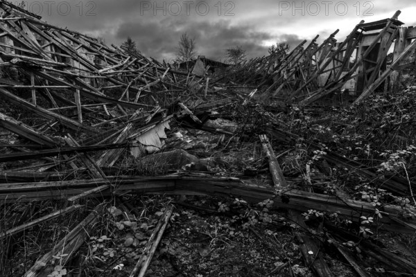 Dilapidated hall of the dilapidated plant of a former agricultural production cooperative of the former GDR, LPG, Lost Place, black and white photo, Müggenburg, Fischland-Darß-Zingst, Western Pomerania National Park, Mecklenburg-Western Pomerania, Germany