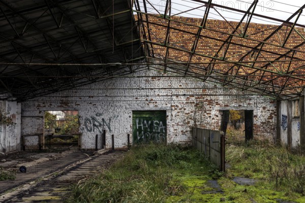 Former hall, dilapidated plant of a former agricultural production cooperative of the former GDR, LPG, Lost Place, Müggenburg, Fischland-Darss-Zingst, Western Pomerania Lagoon Area National Park, Mecklenburg-Western Pomerania, Germany