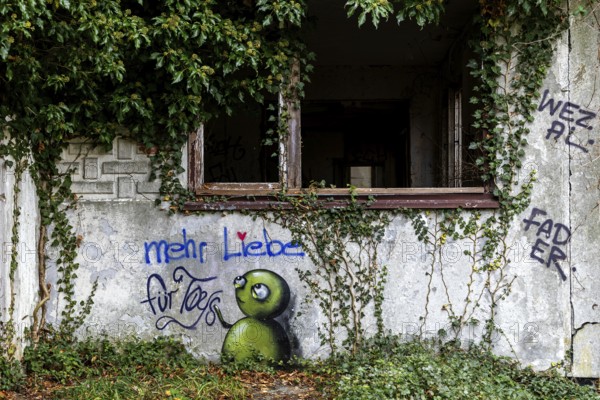 Grafity on an old house wall, dilapidated plant of a former agricultural production cooperative of the former GDR, LPG, Lost Place, Müggenburg, Fischland-Darß-Zingst, Western Pomerania National Park, Mecklenburg-Western Pomerania, Germany