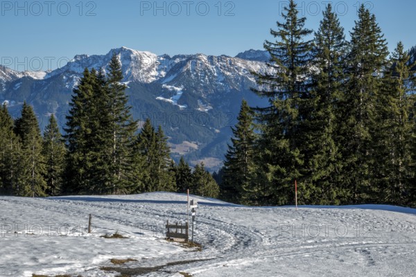 View from the high-altitude hiking trail from Bolsterlanger Horn to Riedberger Horn, snow-capped mountains of the Allgäu Alps, Bolsterlang, Oberstdorf, Oberallgäu, Allgäu, Bavaria, Germany
