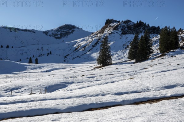 High-altitude hiking trail from Bolsterlanger Horn to Riedberger Horn, snow-covered, behind Riedbergerhorn, Bolsterlang, Oberstdorf, Oberallgäu, Allgäu, Bavaria, Germany