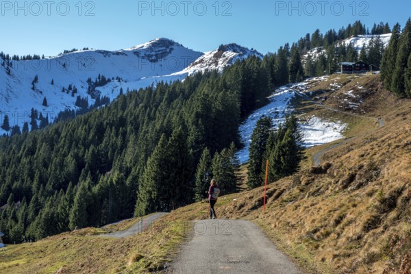 Female hiker on high-altitude hiking trail from Bolsterlanger Horn to Riedberger Horn, back Riedbergerhorn, Bolsterlang, Oberstdorf, Oberallgäu, Allgäu, Bavaria, Germany
