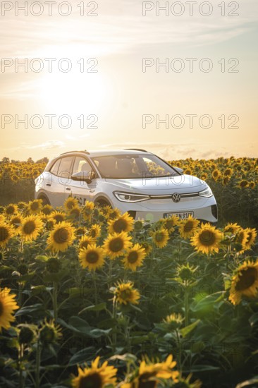 A white car is surrounded by sunflowers at sunset, VW ID4 electric car, Deer Carsharing, Calw, Germany