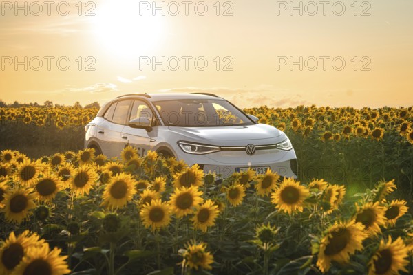 A white car is parked in the middle of a sunflower field at sunset, VW ID4 electric car, Deer Carsharing, Calw, Germany