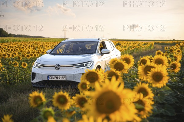 A car in a sunflower field under a golden sky, VW ID4 electric car, Deer Carsharing, Calw, Germany