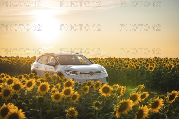 A white car is parked in a sunflower field at sunset, VW ID4 electric car, Deer Carsharing, Calw, Germany