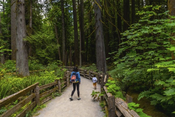 Tourists enjoying a leisurely walk along the scenic path in cathedral grove, a majestic old growth forest on vancouver island, surrounded by towering trees and lush greenery