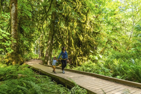 Mother and son enjoying a leisurely stroll on a wooden boardwalk amid the lush greenery of a temperate rainforest in cathedral grove, macmillan provincial park