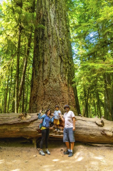 Tourists enjoying summer holidays exploring the majestic ancient trees in cathedral grove on vancouver island, british columbia, canada, creating unforgettable memories amidst breathtaking nature