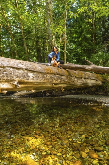 Mother and daughter sitting on a large fallen tree trunk over a clear creek in the tranquil cathedral grove forest of vancouver island, surrounded by lush greenery