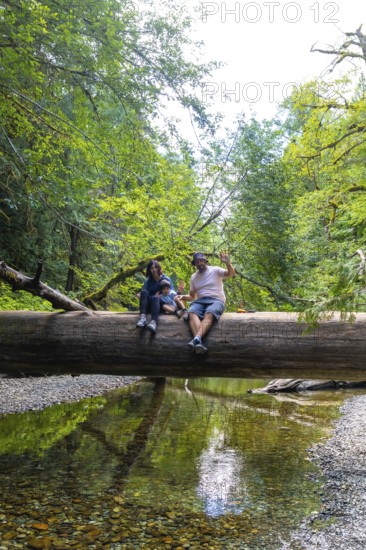 Tourists sitting on a large fallen tree trunk spanning a shallow river in a lush green forest, enjoying summer vacation at cathedral grove on vancouver island, british columbia, canada