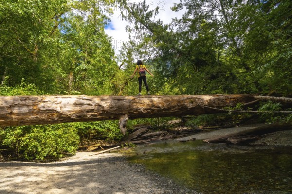 Female hiker balancing on a large fallen tree trunk spanning a shallow river in a lush green forest, enjoying the tranquility of nature during summer