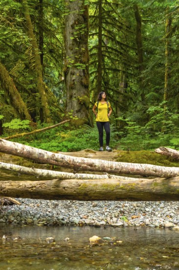 Female hiker standing on fallen log, admiring towering trees and lush greenery in the tranquil rainforest of cathedral grove, vancouver island, british columbia, canada, during summer
