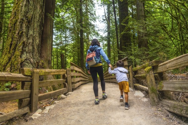 Mother and son holding hands are enjoying a leisurely stroll through a majestic redwood forest, surrounded by towering trees and lush greenery on a wooden path