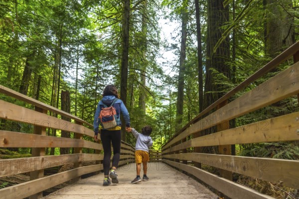 Mother and son holding hands are enjoying a summer walk on a wooden bridge surrounded by giant redwood trees in a lush forest, creating a heartwarming scene of family bonding in nature
