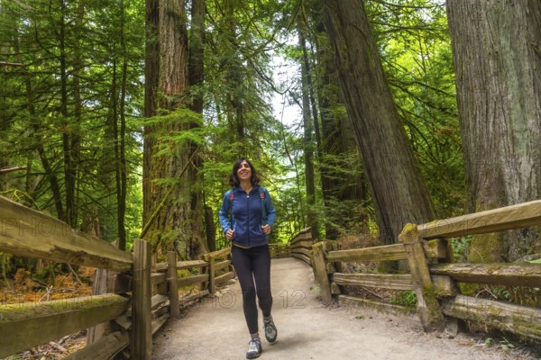 Female hiker enjoying a peaceful walk through the towering trees of cathedral grove on vancouver island, british columbia, canada, surrounded by lush greenery and ancient trees