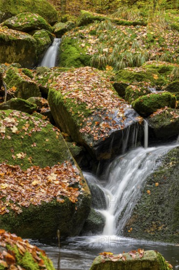 An Ilse waterfall pours over mossy rocks covered with autumn leaves, Ilse Valley, Harz National Park, Ilsenburg, Saxony-Anhalt, Germany