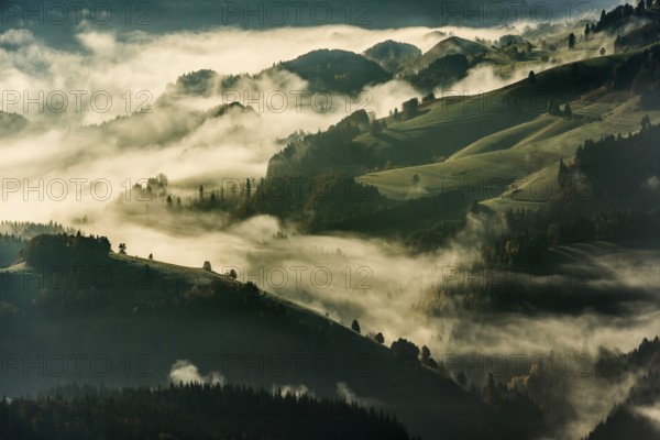 View from Belchen, morning mood with fog in autumn, sunrise, Belchen, Black Forest, Southern Black Forest, Baden-Württemberg, Germany
