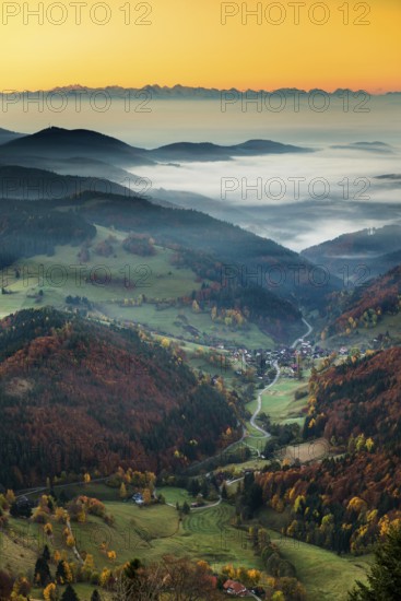 View from Belchen heading south of Wiesental and the Swiss Alps, morning atmosphere with fog in autumn, sunrise, Belchen, Black Forest, Southern Black Forest, Baden-Württemberg, Germany