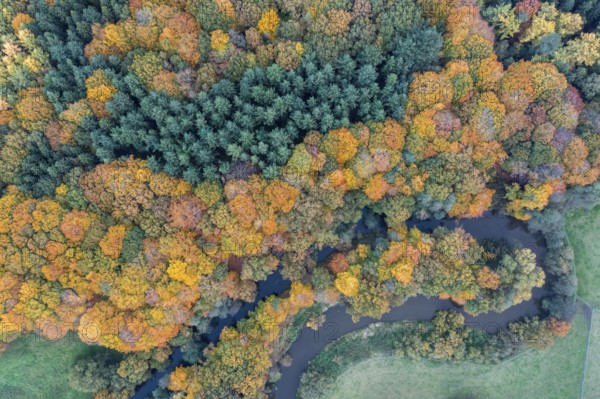 The river Hunte, which surrounds a green island with autumn-colored trees, viewed from the air, drone shot, vertical aerial view, Dötlingen, Wildeshauser Geest, Lower Saxony, Germany