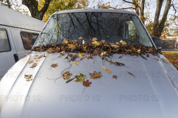 A car parked in a parking lot in Germany is completely covered with autumn leaves at the front. The windshield and bonnet are covered with colorful, fallen leaves, which gives the typical impression of a quiet autumn day
