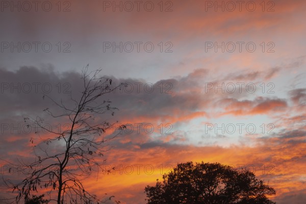 Wonderful sunset, impressive, so beautiful, Moormerland, East Frisia, Niederschsen, Germany