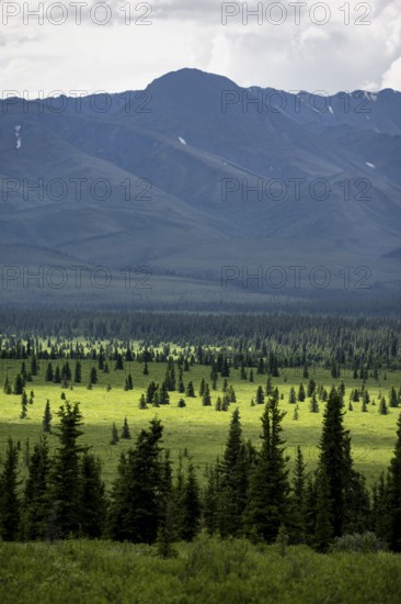Taiga and tundra, mountain landscape of the Alaska Range with dramatic cloudy sky, Denali National Park, Alaska, USA