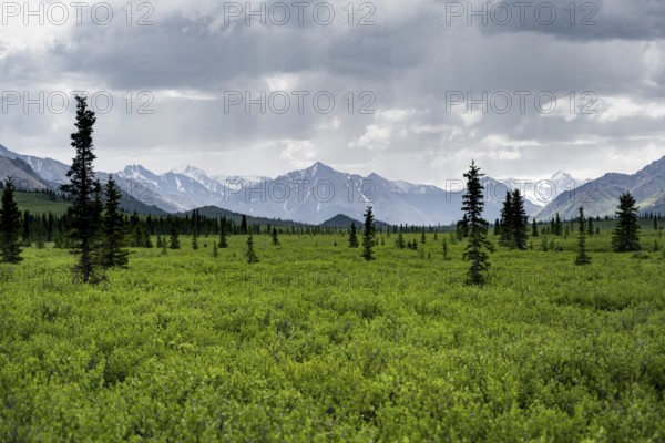 Tundra and mountainous landscape of the Alaska Range in dramatic cloudy skies, Denali National Park, Alaska, USA