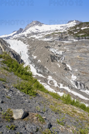 View of the remains of the Worthington Glacier tongue, Worthington Glacier Lagoon, Worthington Glacier State Recreational Site, Chugach Mountains, Alaska, USA