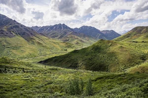 Tundra and mountainous landscape of the Alaska Range, Sable Pass, Denali National Park and Preserve, Alaska, USA