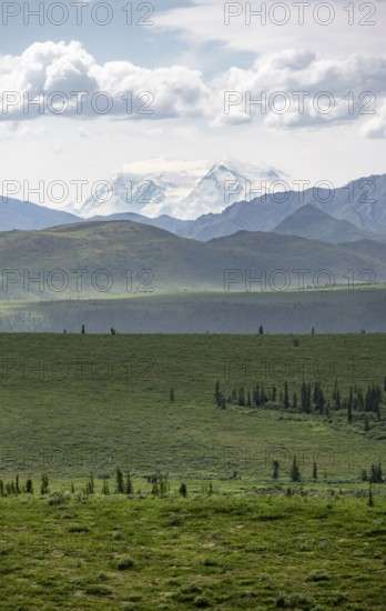Tundra and glaciated peak of Denali or Mount McKinley, Alaska Range mountainous landscape, Denali National Park, Alaska, USA