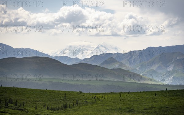 Tundra and glaciated peak of Denali or Mount McKinley, Alaska Range mountainous landscape, Denali National Park, Alaska, USA