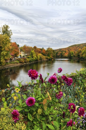 Flower bridge, Bridge of Flowers, bridge over Deerfield River, gardens, autumn leaves, Indian summer, river landscape, Mohawk Trail panoramic road, former trade route, Shelburne Falls, Massachusetts, New England, USA