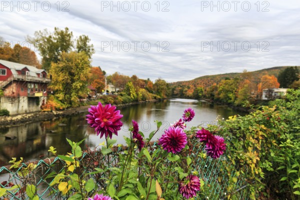 Flower bridge, Bridge of Flowers, bridge over Deerfield River, gardens, autumn leaves, Indian summer, river landscape, Mohawk Trail panoramic road, former trade route, Shelburne Falls, Massachusetts, New England, USA