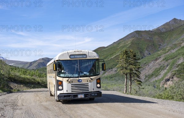 Tourist bus Tundra Wilderness tour, national park bus on a dirt road, mountain scenery, Denali Park Road, Denali National Park and Preserve, Alaska, USA