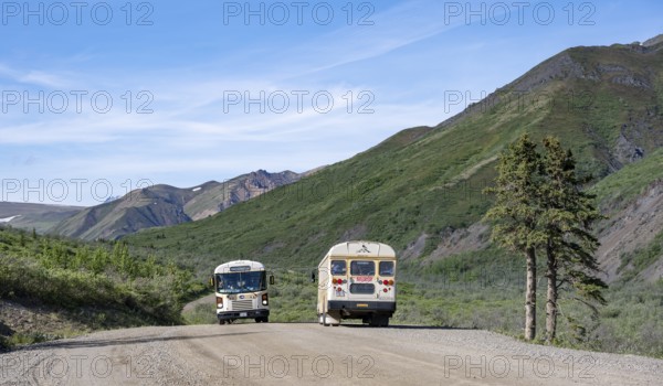 Tourist buses, national park bus on a dirt road, mountainous landscape, Denali Park Road, Denali National Park and Preserve, Alaska, USA