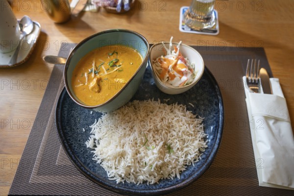 Indian dish: chicken breast pieces in curry sauce with rice and salad, Franconia, Bavaria, Germany