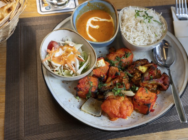 Indian dish: marinated chicken breast pieces grilled with rice and salad, Franconia, Bavaria, Germany