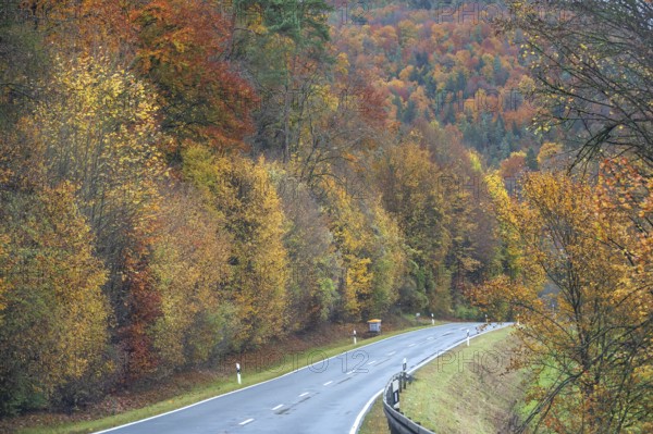 Federal road leads through an autumnal mixed forest, Gräfenberg, Upper Franconia, Bavaria, Germany