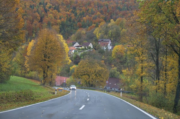 Federal road leads through an autumnal mixed forest, Egloffstein, Upper Franconia, Bavaria, Germany