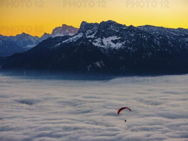 Paragliding flies over a sea of fog, behind Berchtesgaden Alps, Gaisberg, Salzburg, Salzburger Land, Austria