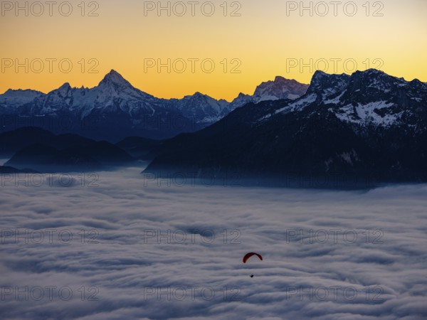 Paragliding flies over a sea of fog, behind Berchtesgaden Alps with Watzmann, Hochkalter and Untersberg, Gaisberg, Salzburg, Salzburger Land, Austria