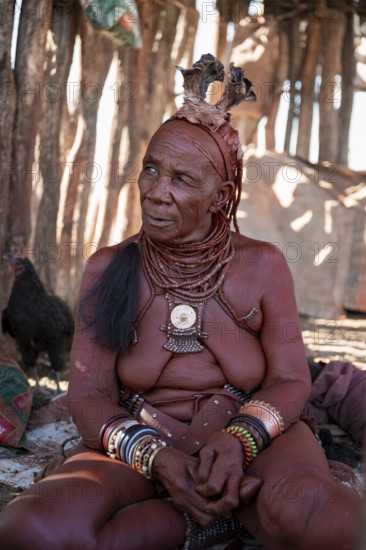 Elderly Himba woman, portrait, traditional Himba village, Kaokoveld, Kunene, Namibia