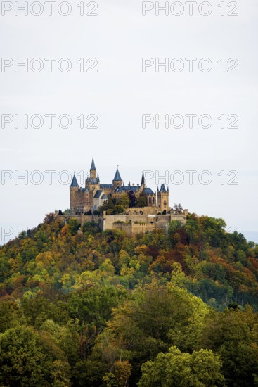 Castle and autumnal forest, Hohenzollern Castle, Hechingen, Swabian Jura, Baden-Württemberg, Germany