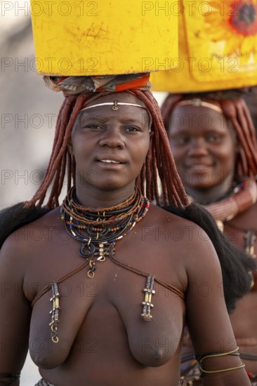 Himba woman fetching water, heavy water bucket on their heads, traditional Himba, Kaokoveld, Kunene, Namibia