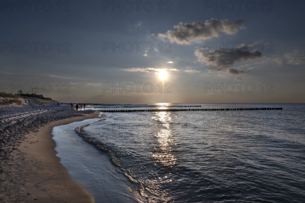 Evening sun on the Baltic Sea beach, Ahrenshoop, Darß, Mecklenburg-Western Pomerania, Germany